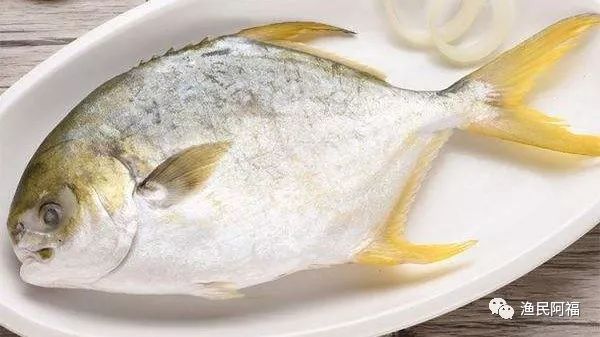 孕妇可以吃海鲜吗?适合孕妇吃的海鲜有哪些?