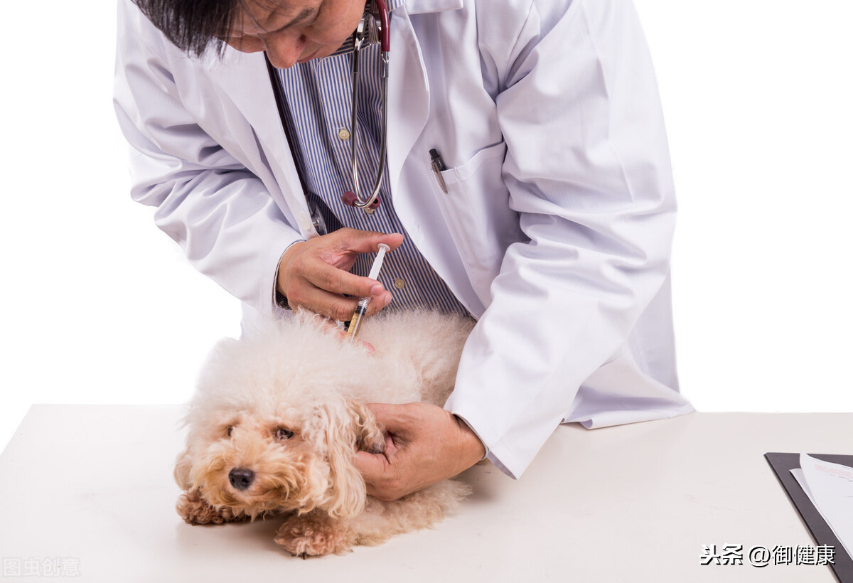 被狗咬了以后？到底该不该打1000多块钱的狂犬疫苗？