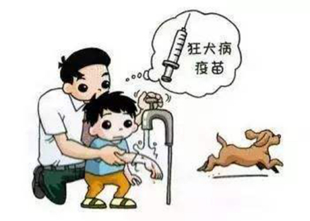 狂犬病的潜伏期是多久?