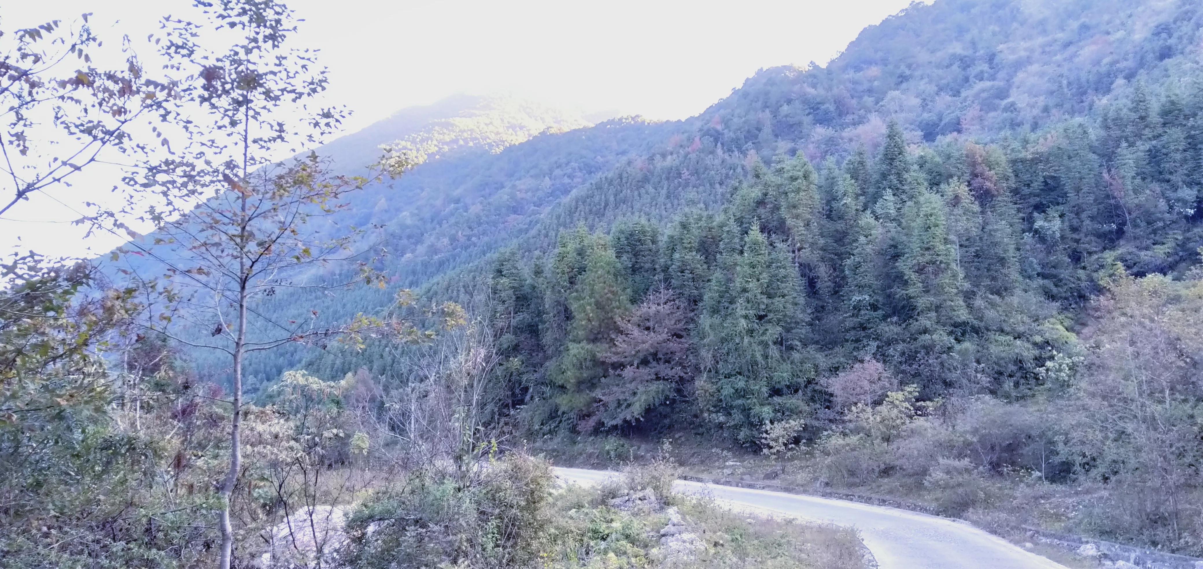 驻村工作队,到底有多苦