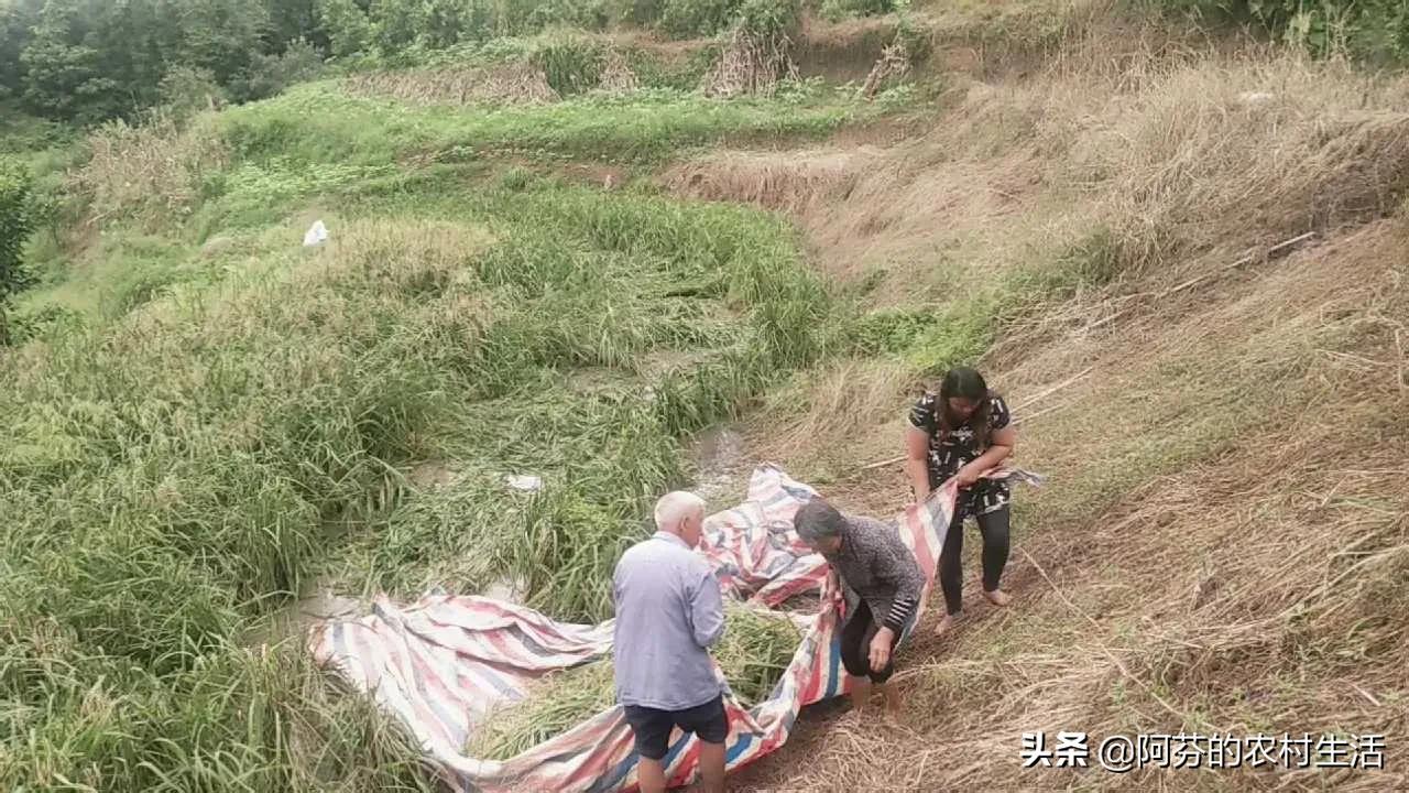 农村老人太强势,至少毁三代人