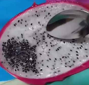 吃红心火龙果,尿会变成红色?天天吃火龙果,这几件事你未必清楚