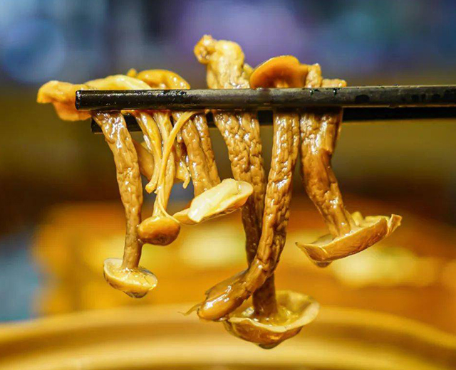 菌中极品，好吃停不下来——干锅鹿茸菌