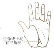 通过手掌三角纹看命运，超准的