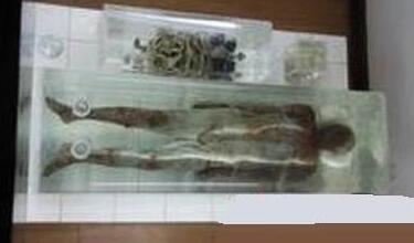 十五件事让你怀疑这个世界上有这么多未解之谜