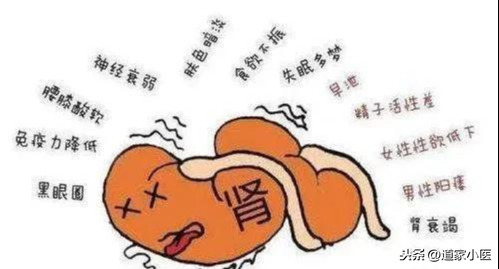 阴跷之秘 | 性欲与智商寿命关系