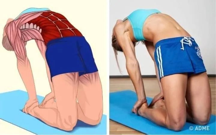 晚上运动等于慢性自杀??有明星夜跑猝死,元芳你怎么看?