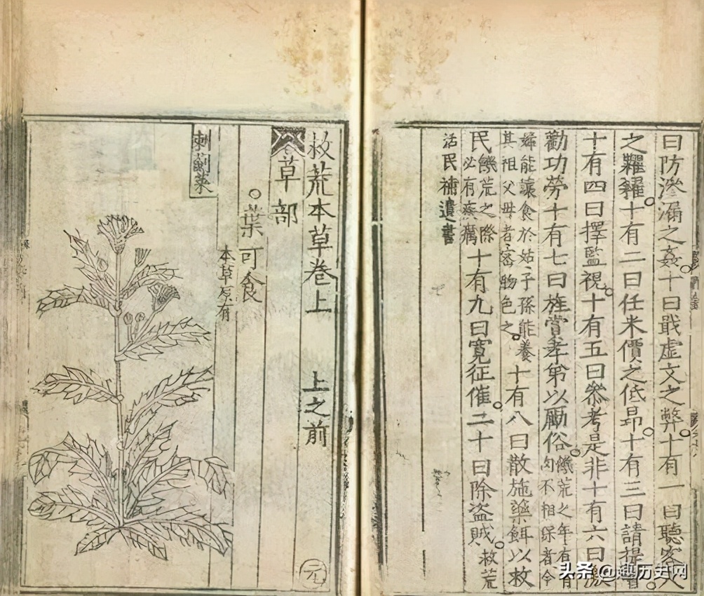 朱橚:纨绔子弟中的一股清流,写下一本《救荒本草》名垂千古