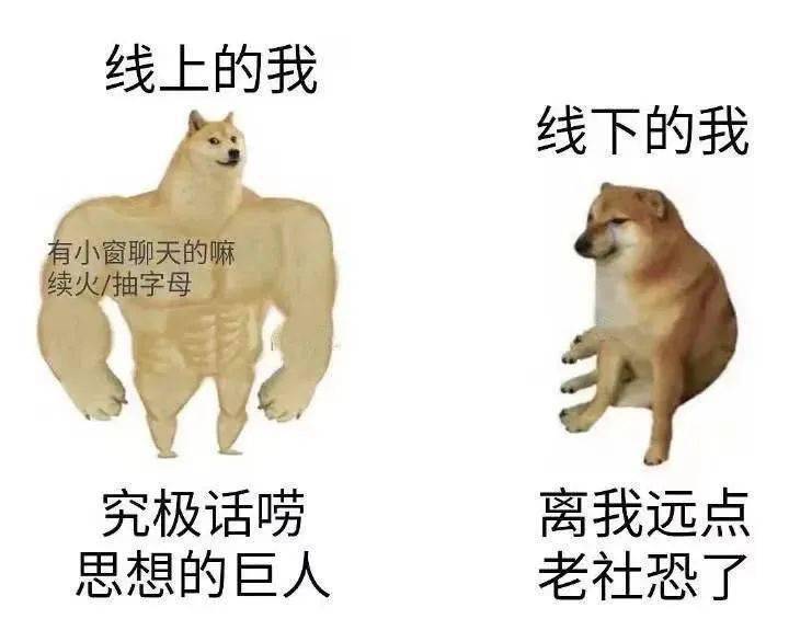 一网打尽！社恐，社交牛逼症，社交牛杂症的英文表达