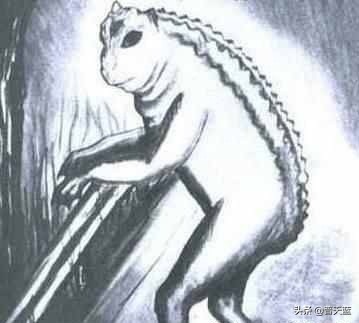 地球上的十大神秘生物