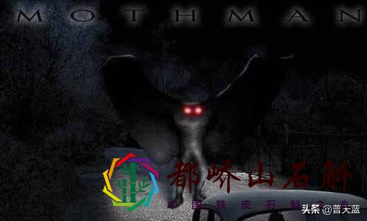 地球上的十大神秘生物