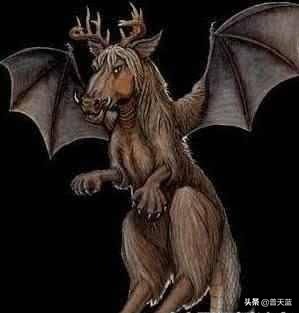 地球上的十大神秘生物