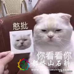 学生证竟然有这些隐藏优惠?后悔为什么没有早点知道