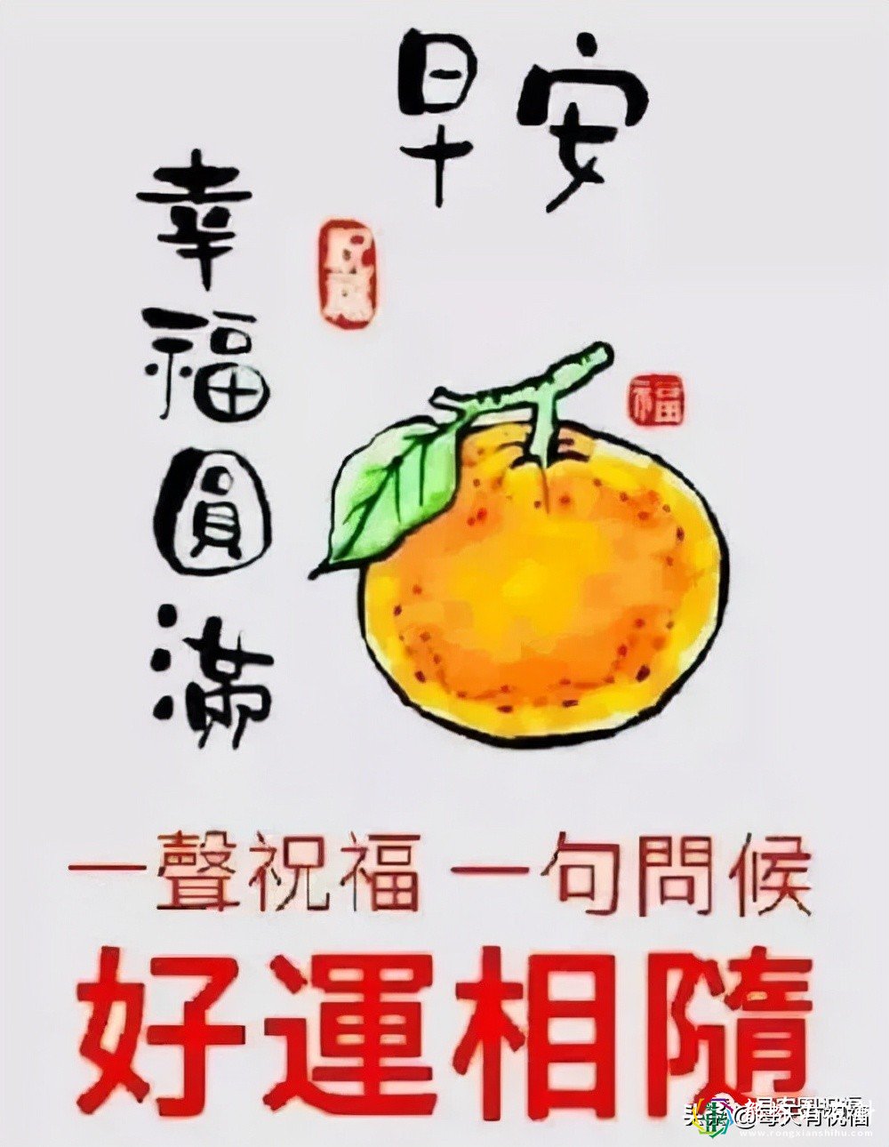 最新早上好表情图片带字带祝福语 清晨问候早安图片祝福语大全简短