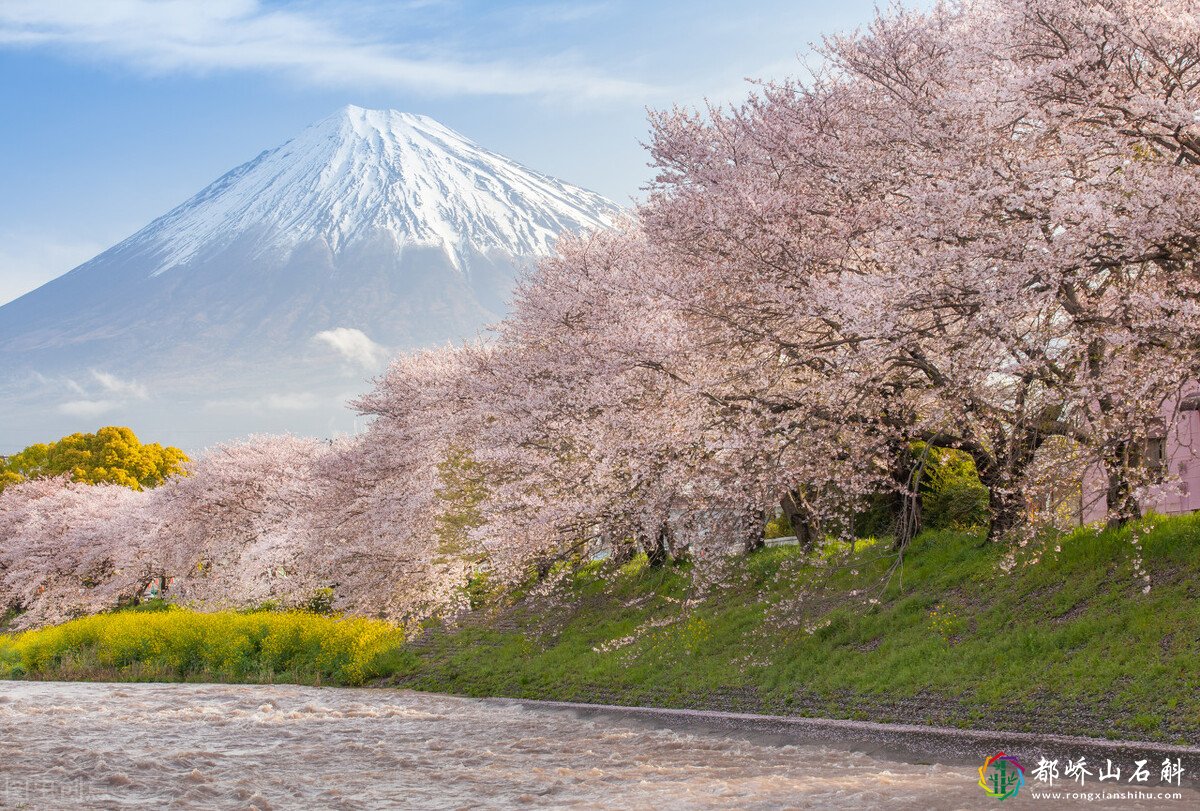 什么,日本富士山山顶竟然是私有财产?日本政府仅仅是租用?