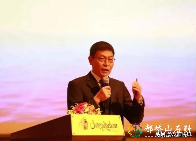 康婷涉嫌传销:刘小兵被起底