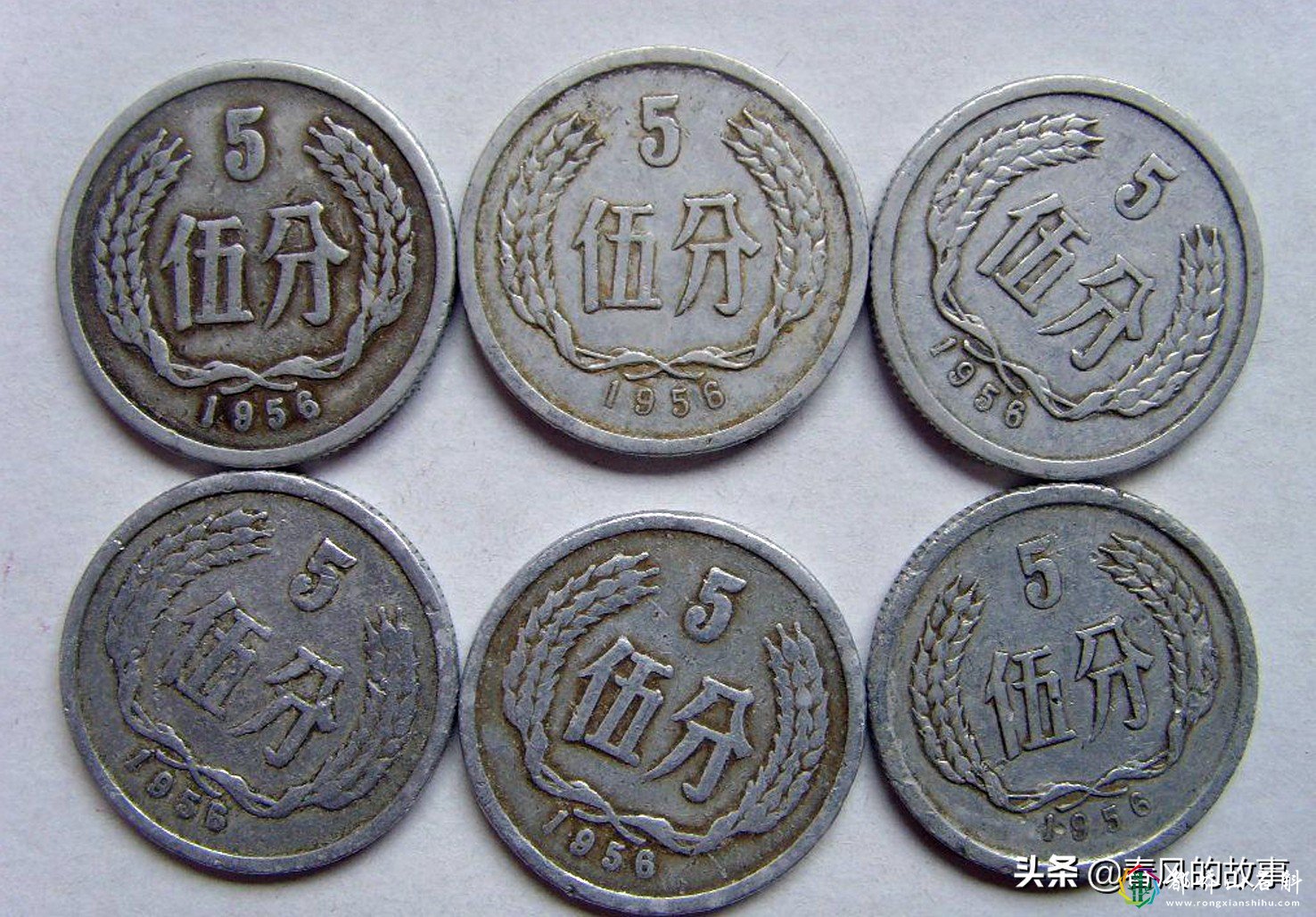 网传1956年5分硬币价值12万,是真的吗?