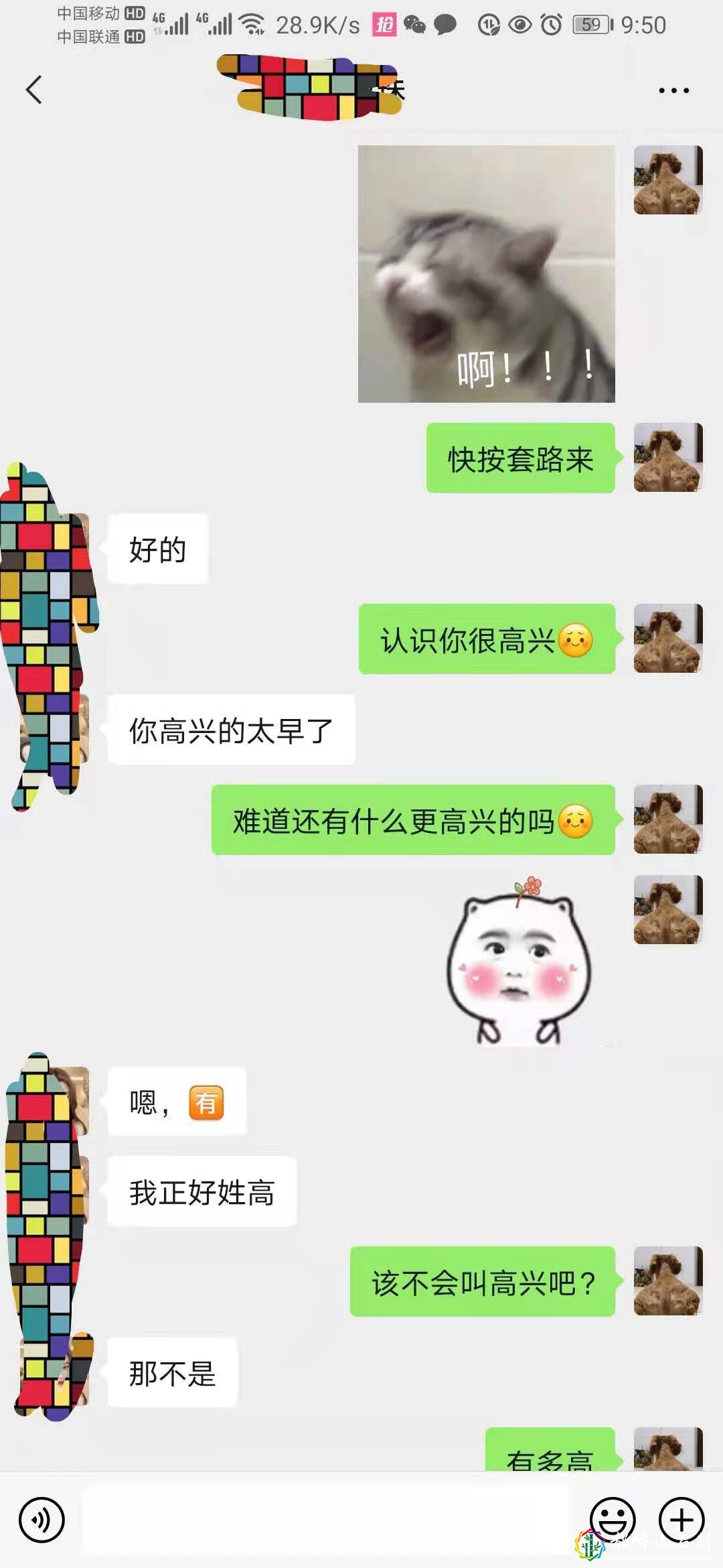 1资深海王(钢铁直男)高情商(睿智)相亲聊天记录超搞笑