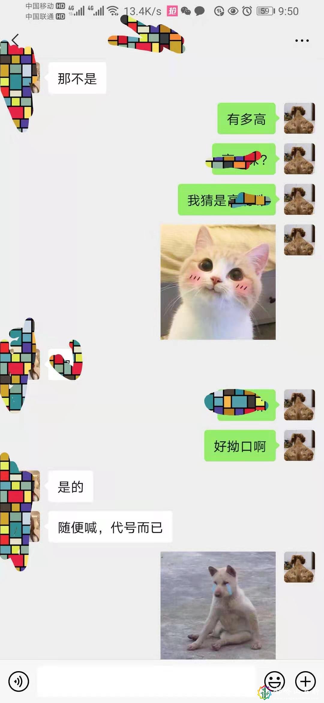 1资深海王(钢铁直男)高情商(睿智)相亲聊天记录超搞笑