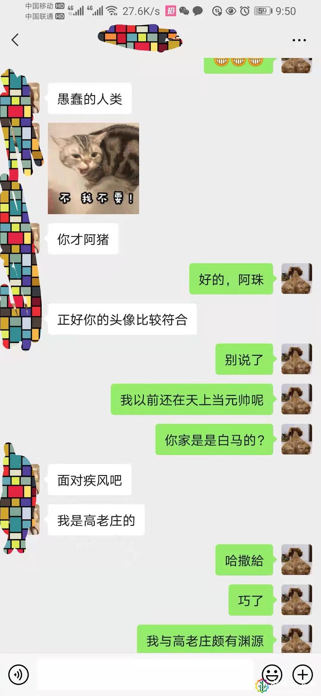 1资深海王(钢铁直男)高情商(睿智)相亲聊天记录超搞笑