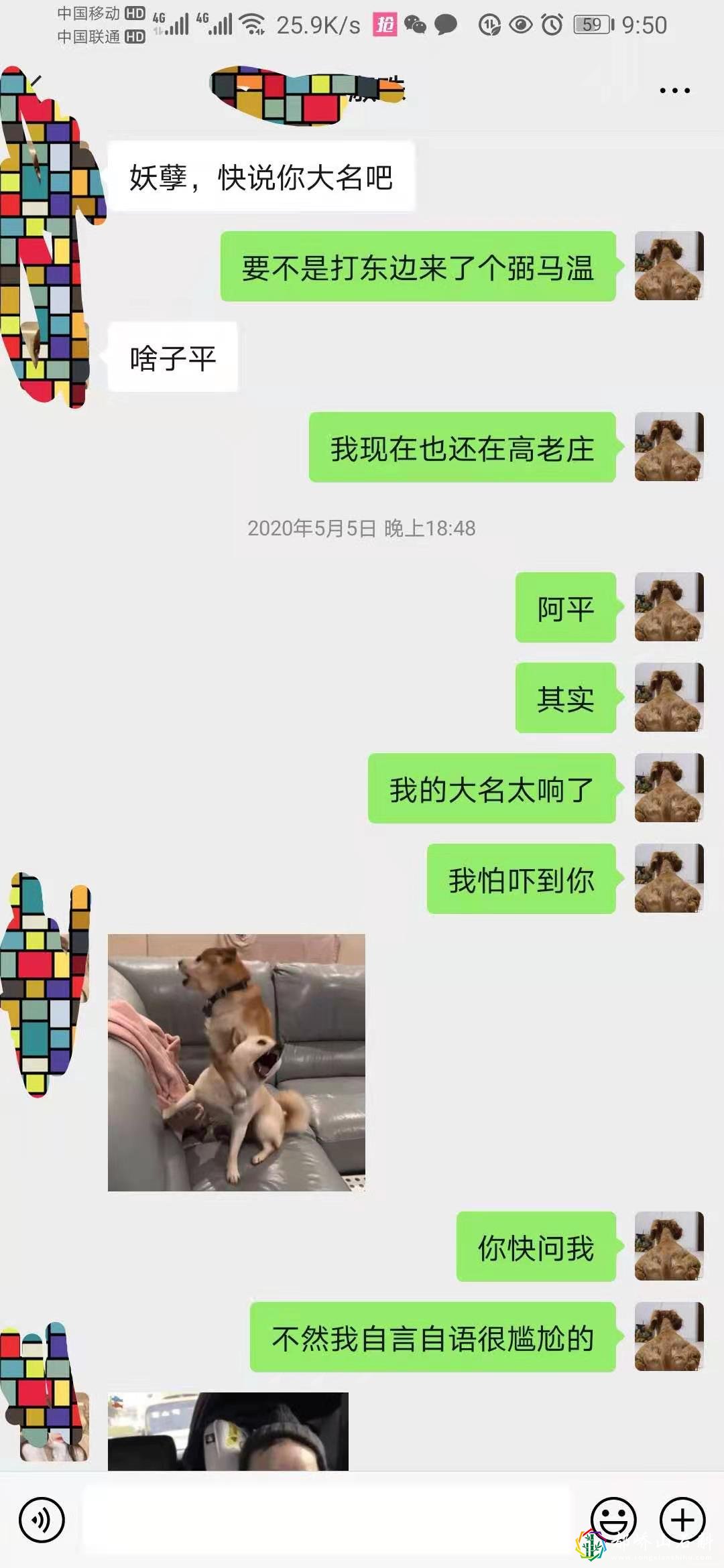 1资深海王(钢铁直男)高情商(睿智)相亲聊天记录超搞笑