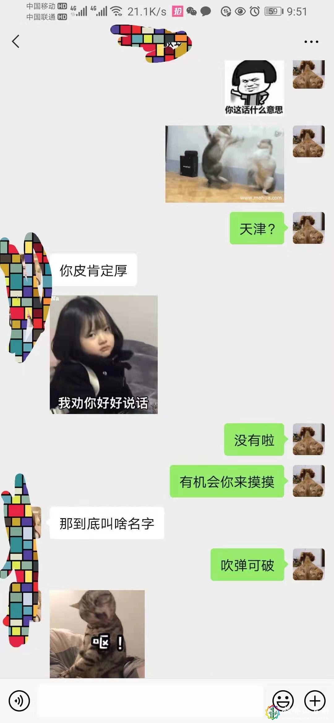 1资深海王(钢铁直男)高情商(睿智)相亲聊天记录超搞笑