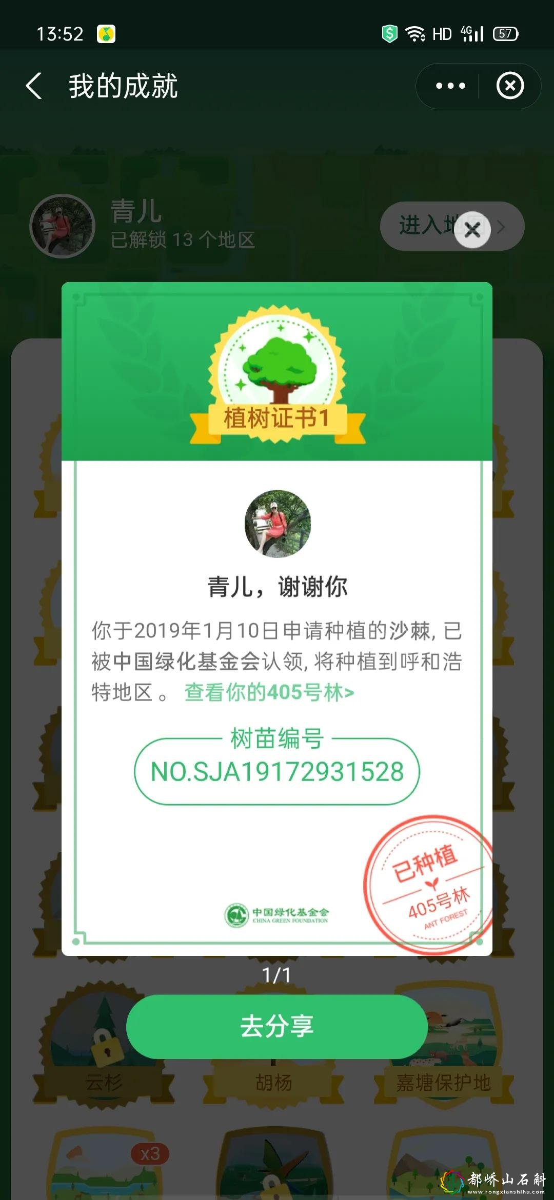 再见了,蚂蚁森林!(胡杨难种,沙棘太贵)