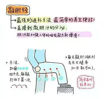 胆经能随便敲吗?敲错反伤身!如何敲胆经,注意事项有什么?收藏