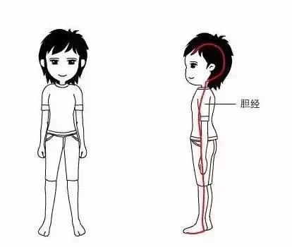 胆经能随便敲吗?敲错反伤身!如何敲胆经,注意事项有什么?收藏