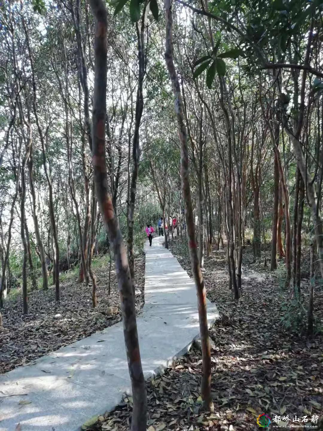 羞涩是女人最大的魅力