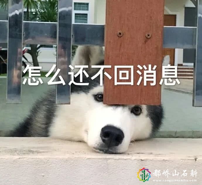 在线撒娇表情包:我想你了,你怎么还不找我
