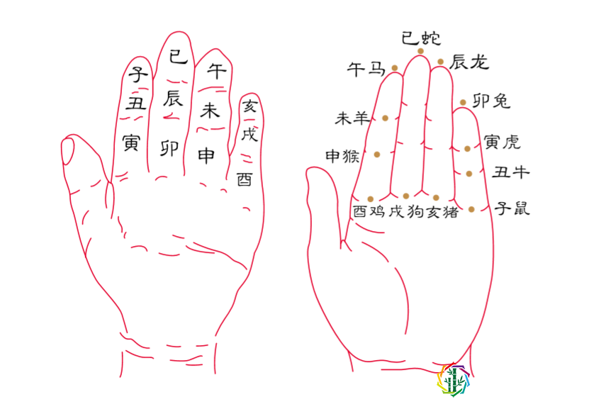 属相知识 | 你的本命年顺利吗？“本命年”的说法是怎么来的？