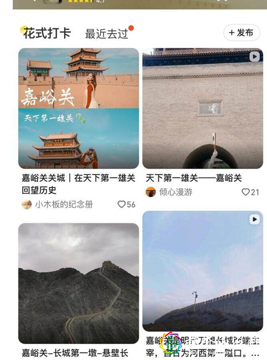 老年人出游方式有多“野”
