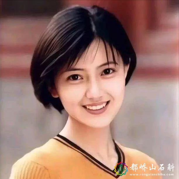 高圆圆的混乱情史,被称作清纯女神,却多次背上“插足”的骂名