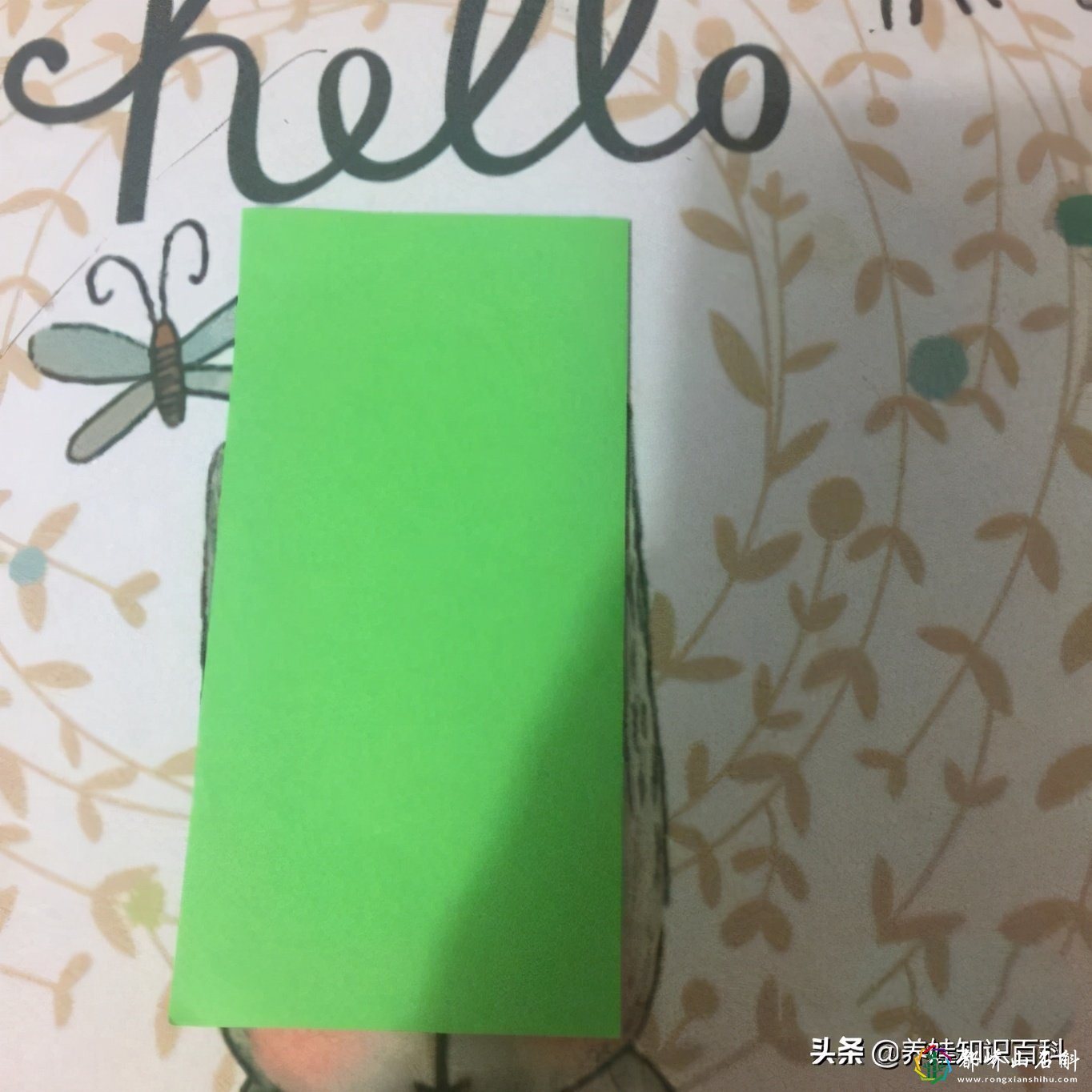滑翔机怎么折?按照这个方法来,滑翔机飞得又远又久,教给宝宝哦