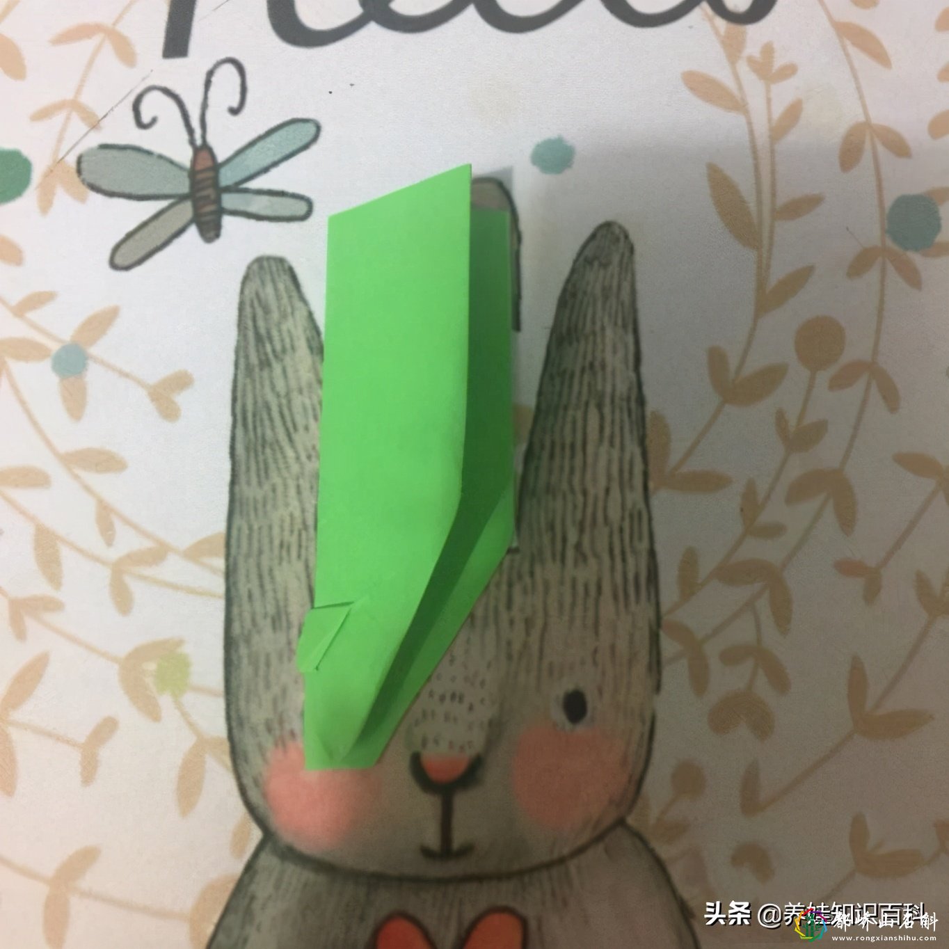 滑翔机怎么折?按照这个方法来,滑翔机飞得又远又久,教给宝宝哦