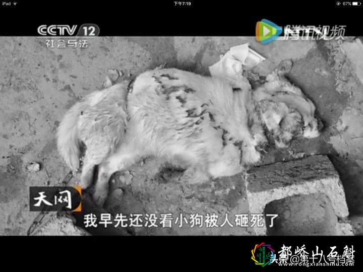 消失的夫妻——人性本恶，四个恶魔，胆小者慎点！！！！！！