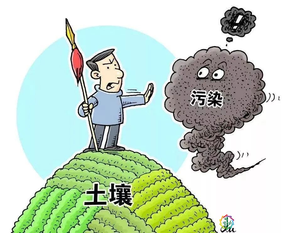 环境问题介绍卡图片