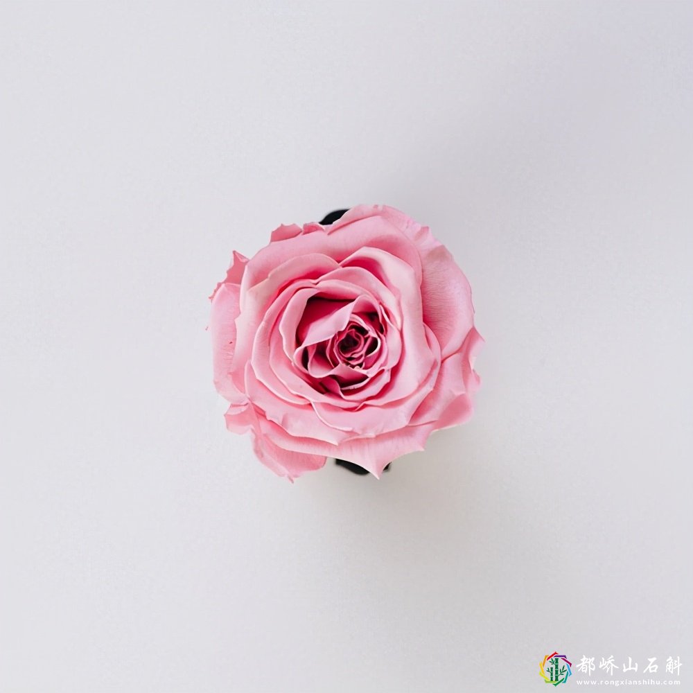男人眼里,干净的女人,是有共同点的