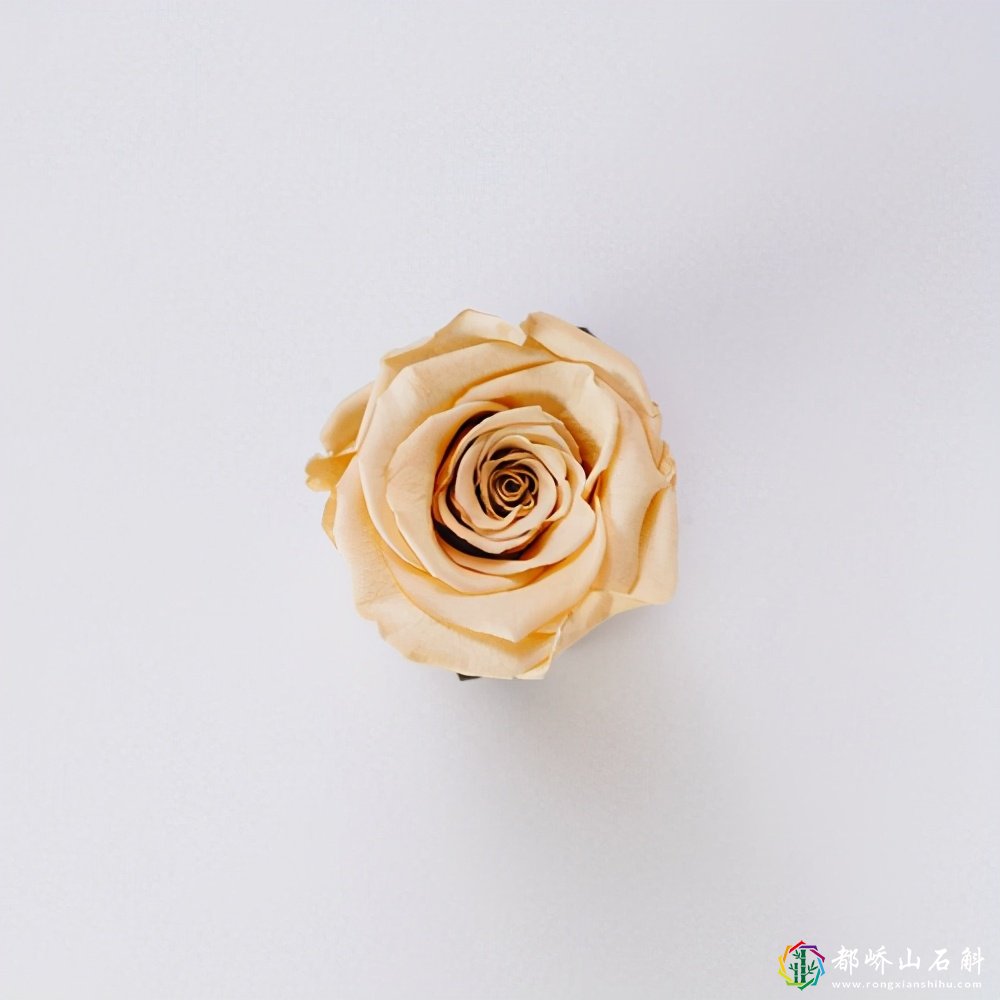 男人眼里,干净的女人,是有共同点的
