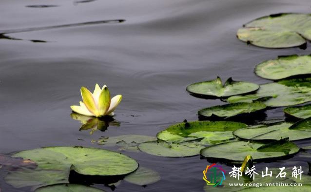 多少人败在不会做人上!悟透这24条做人天规,人生会越来越顺
