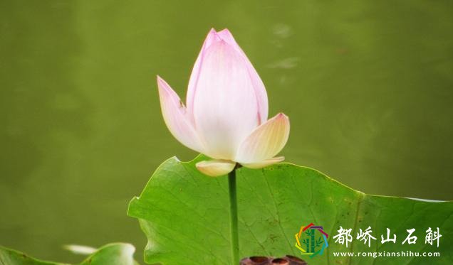多少人败在不会做人上!悟透这24条做人天规,人生会越来越顺