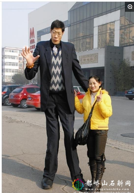 中国十大巨人排行榜图片