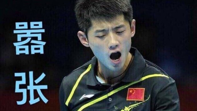 张继科为什么退役【张继科退役后是干什么】