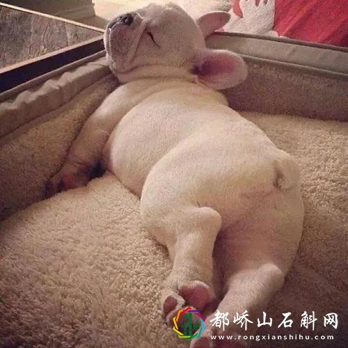 喜欢趴着睡觉的男人是什么原因