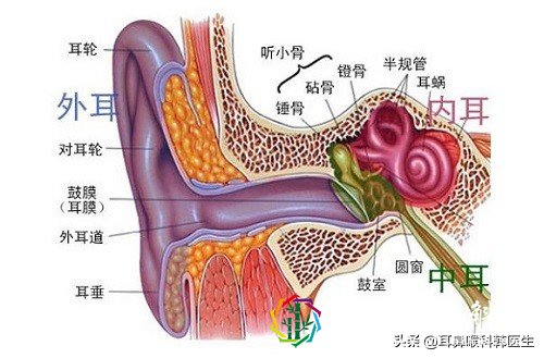 坐完飞机一直耳鸣如何解决