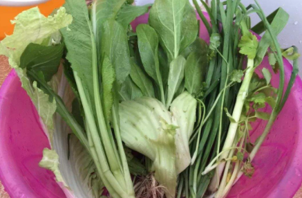 正月初七吃七样菜是什么菜2