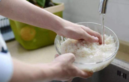 淘米水发酵是什么肥料1