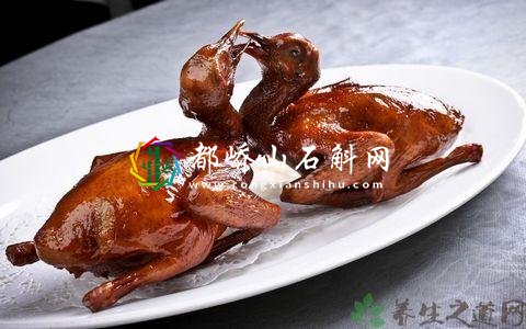 鸽子肉相克食物表