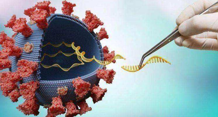 疑似“奥密克戎+德尔塔”混合株出现(疑似奥密克戎是什么意思?)